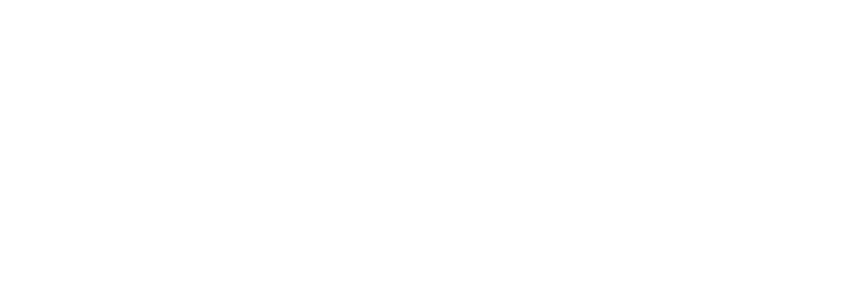 Fanelli Sound & Lighting